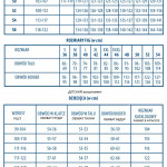 Купальник раздельный Lorin L2369/1